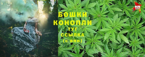 трава Новодвинск