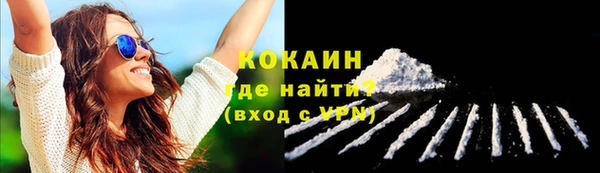 трава Новодвинск