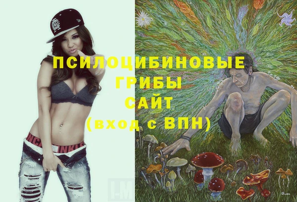 MESCALINE Новозыбков