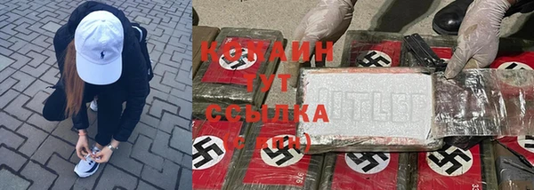 трава Новодвинск