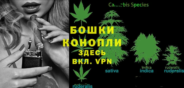 MESCALINE Новозыбков