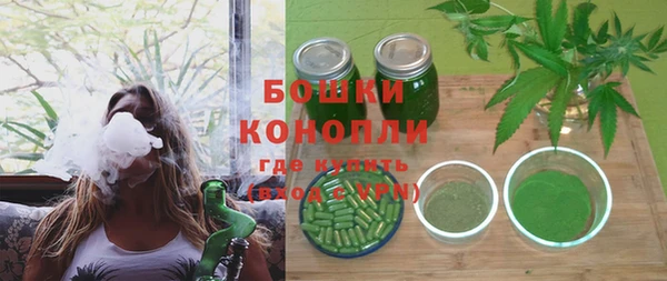 трава Новодвинск