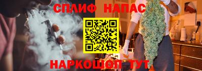 мдпв Гагарин