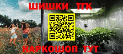 дмт Гай