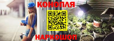 дурь Гатчина