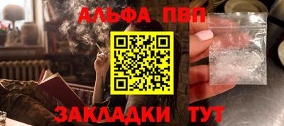 дмт Гай