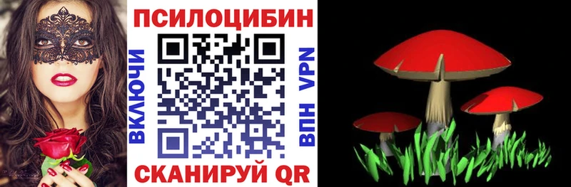 Галлюциногенные грибы мицелий  mega как войти  Кудымкар 