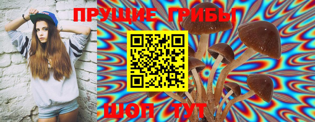 как найти наркотики  Кудымкар  Псилоцибиновые грибы прущие грибы 