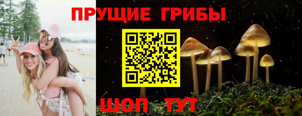 Псилоцибиновые грибы ЛСД Кудымкар