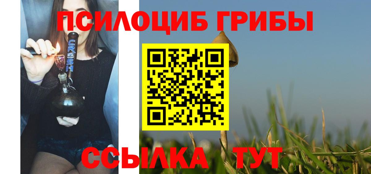 Галлюциногенные грибы Psilocybe  Вход с VPN  Псилоцибиновые грибы Cubensis  Кудымкар 