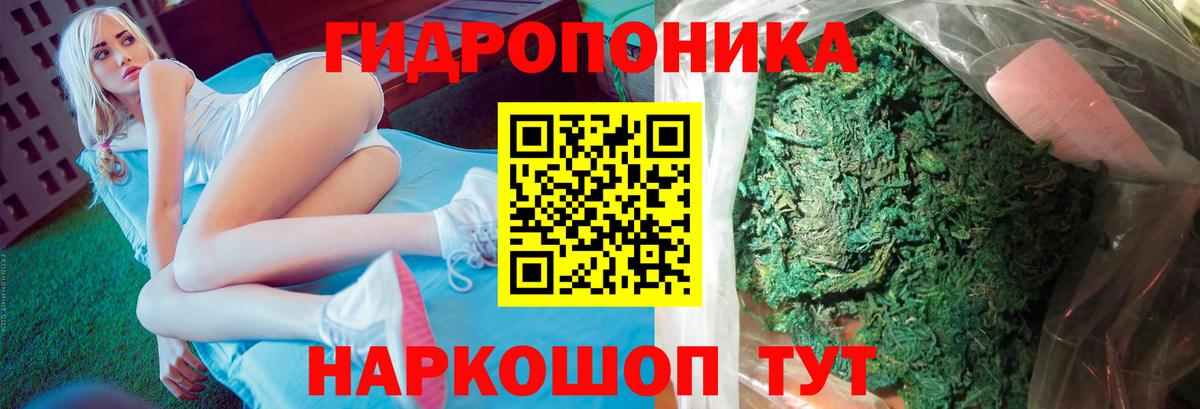 Бошки марихуана SATIVA & INDICA Кудымкар