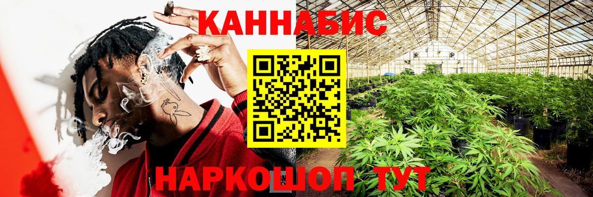 Конопля Bruce Banner Кудымкар
